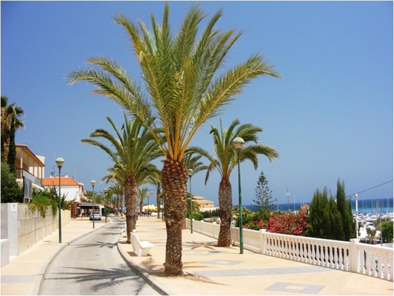 Torre De La Horadada - Modern And Comfortable 2 Bedroom Apartment Close To The Beach Torre de la Horadada Eksteriør billede
